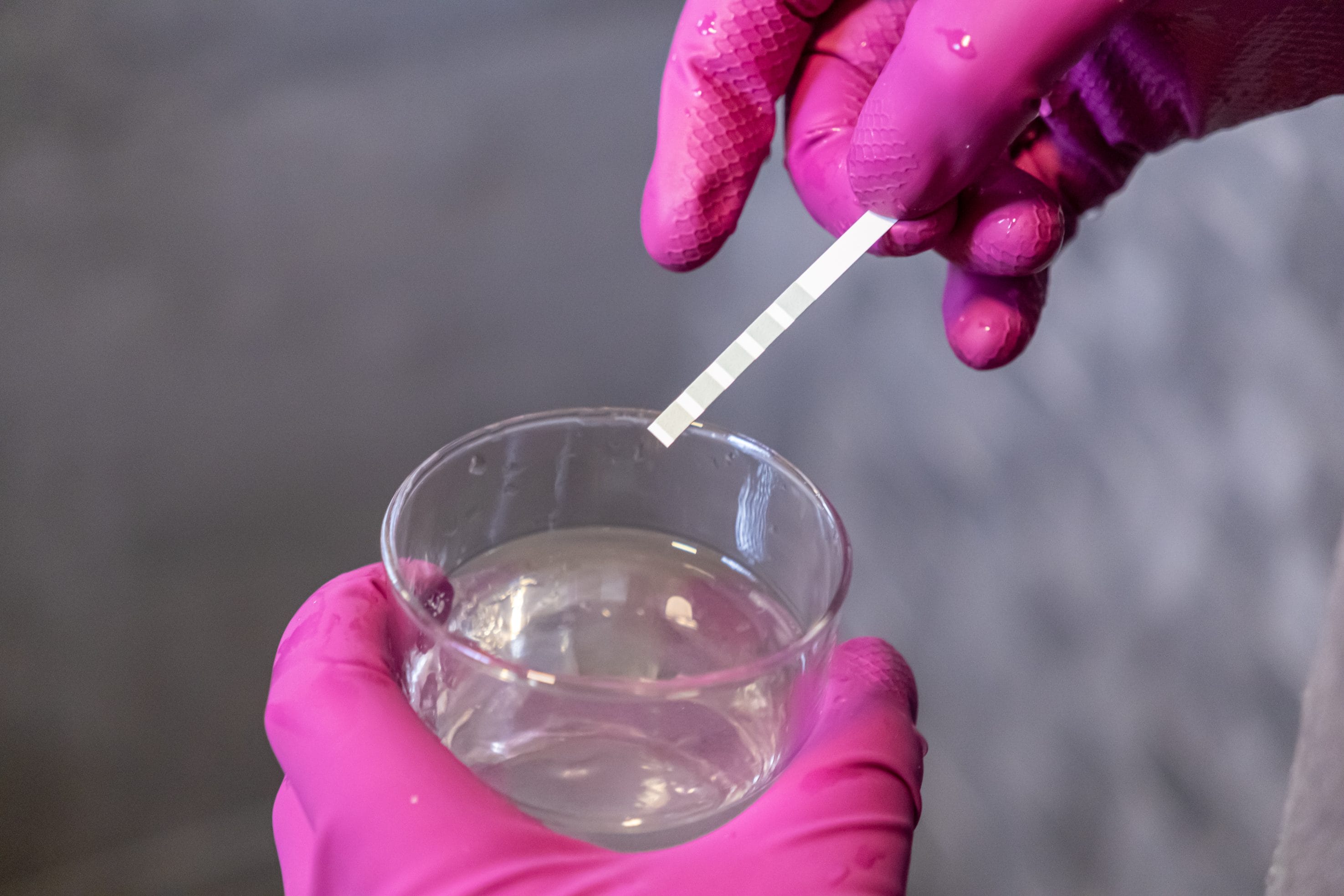 water testing strips in use by professional